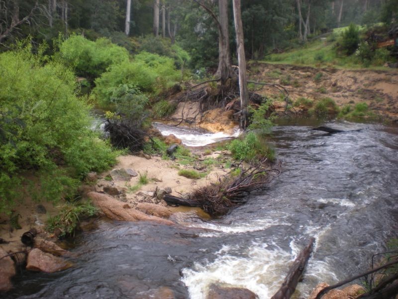 26360 Tasman Highway, Goshen TAS 7216