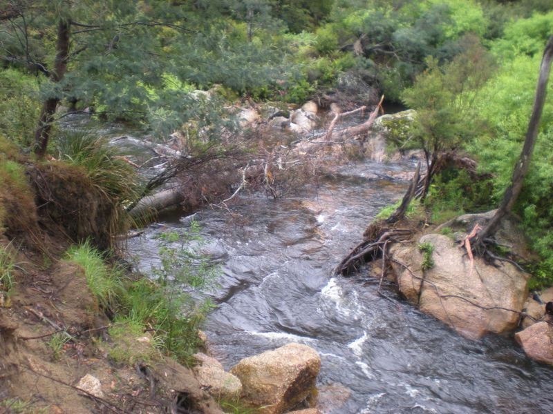 26360 Tasman Highway, Goshen TAS 7216