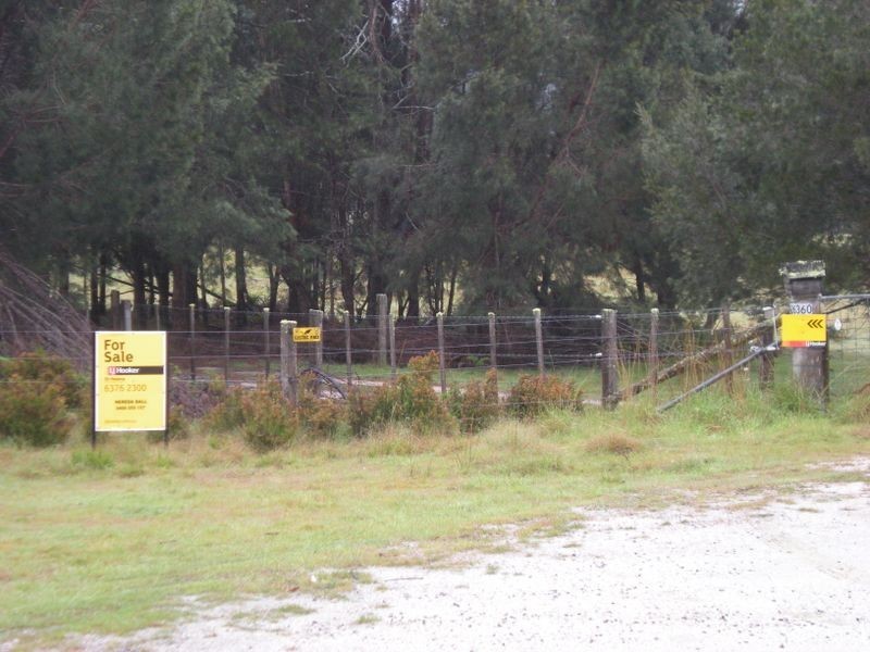 26360 Tasman Highway, Goshen TAS 7216