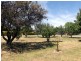 57 Quail Street, St Helens TAS 7216