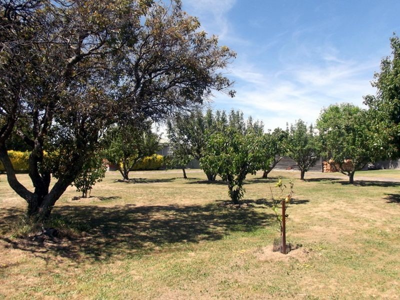 57 Quail Street, St Helens TAS 7216