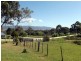 21 Lennox Street, Cornwall TAS 7215