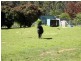 21 Lennox Street, Cornwall TAS 7215