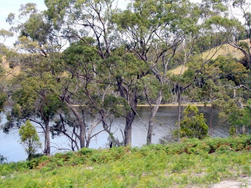141 Acacia Drive, Ansons Bay TAS 7216