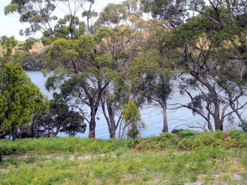 141 Acacia Drive, Ansons Bay TAS 7216