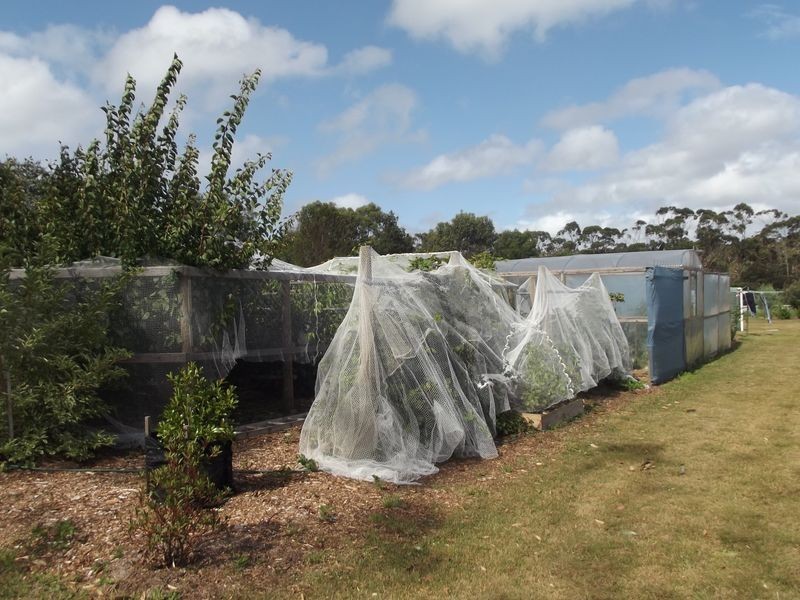 25 Canhams Road, St Helens TAS 7216
