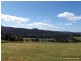 310 Lottah Road, Goulds Country TAS 7216