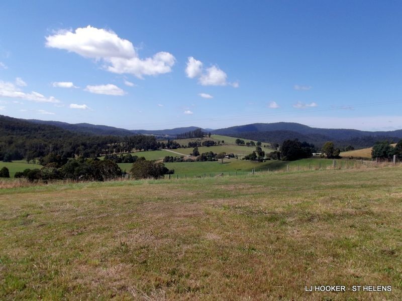 310 Lottah Road, Goulds Country TAS 7216