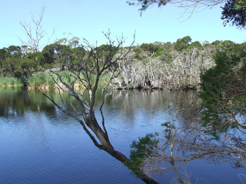 4D Parnella Drive, Stieglitz TAS 7216
