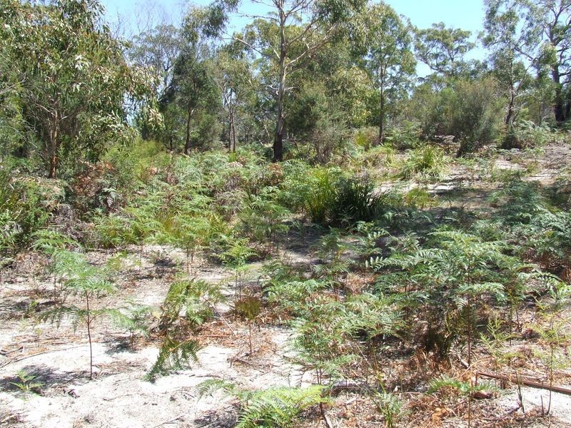 4D Parnella Drive, Stieglitz TAS 7216
