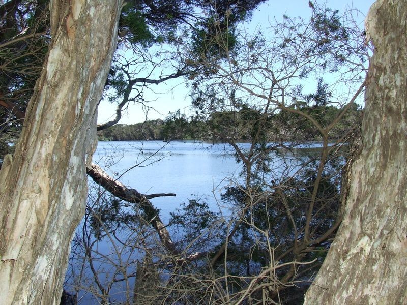 4D Parnella Drive, Stieglitz TAS 7216