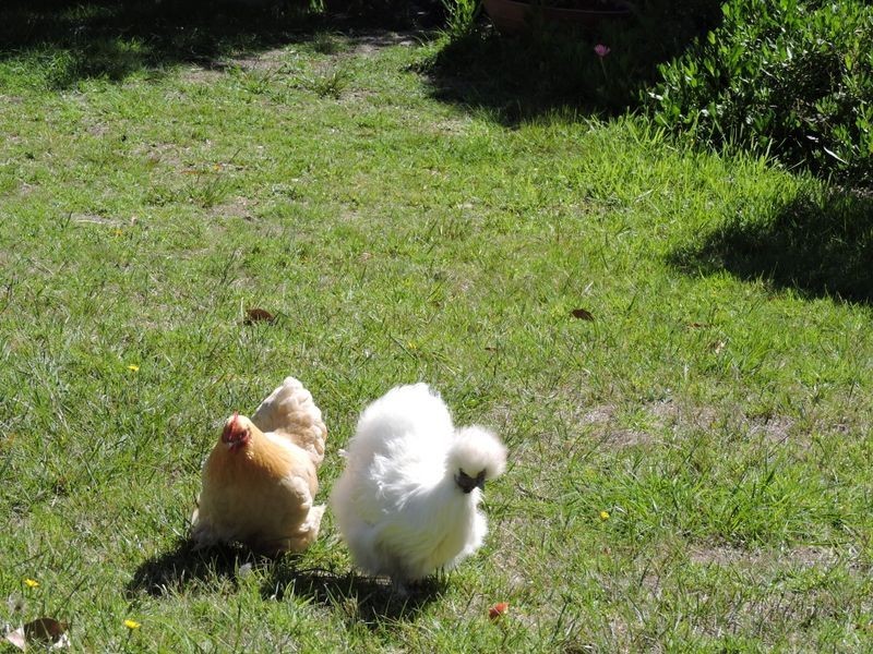 117 St Helens Point Road, Stieglitz TAS 7216