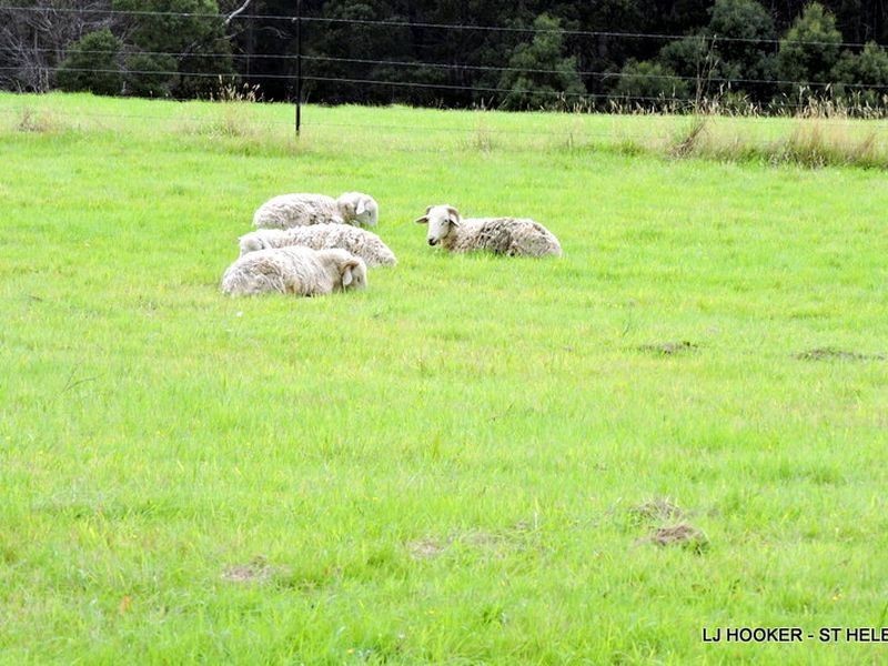 70 Terrys Hill Road, Goshen TAS 7216