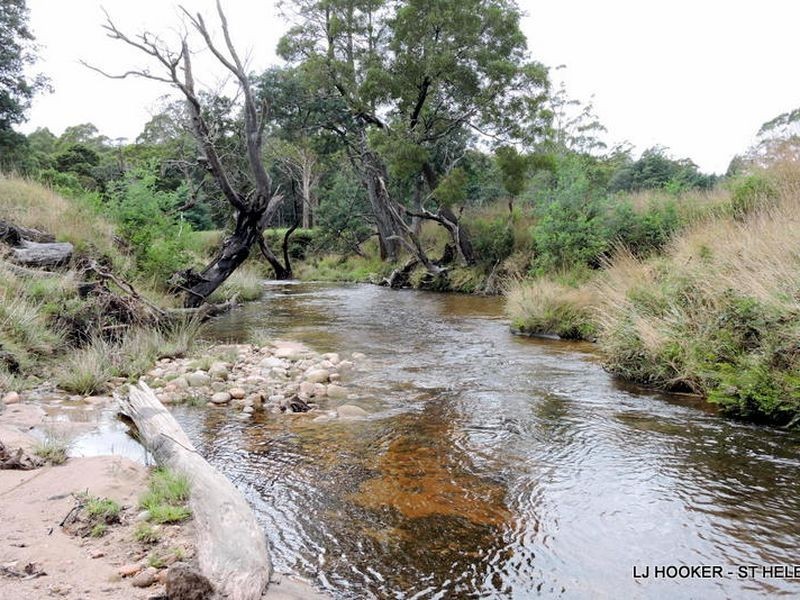 100 Terrys Hill Road, Goshen TAS 7216