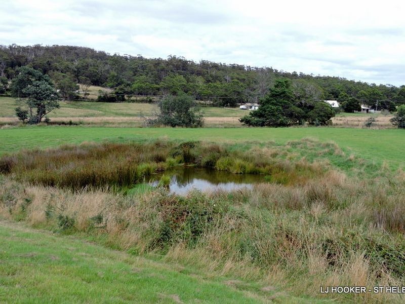 100 Terrys Hill Road, Goshen TAS 7216