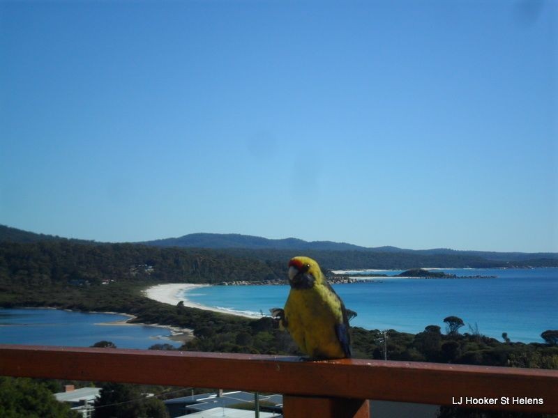 2 Coffey Drive, Binalong Bay TAS 7216