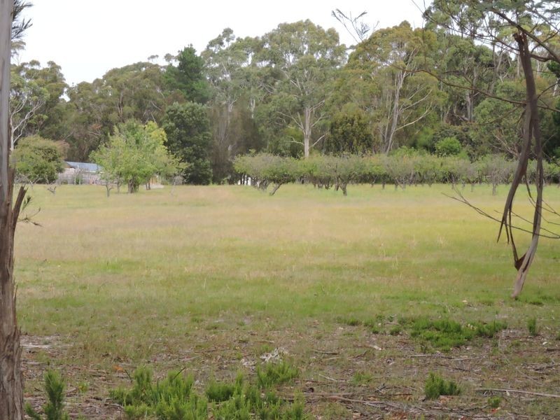 53-65 Falmouth Street (Lot 2), St Helens TAS 7216