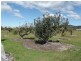 40 Beaulieu Street, St Helens TAS 7216