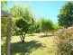 7 Penelope Street, St Helens TAS 7216