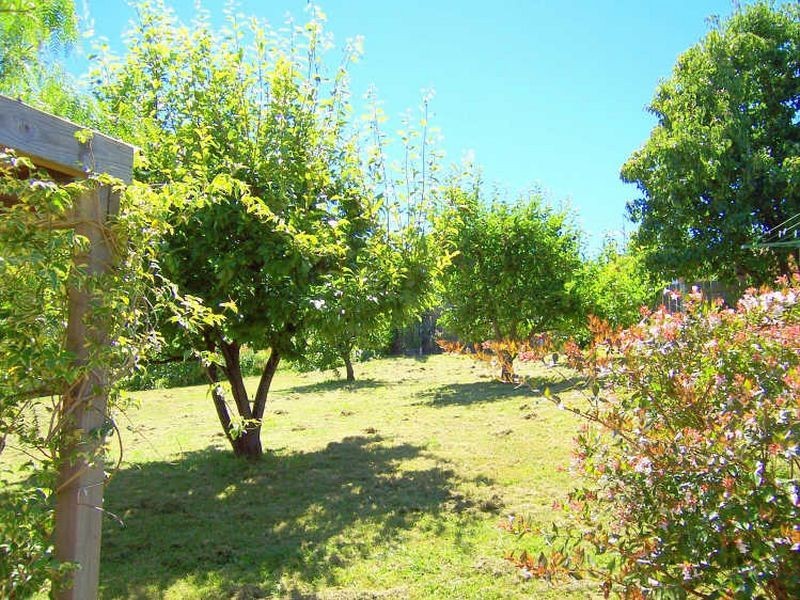 7 Penelope Street, St Helens TAS 7216
