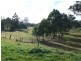 259 Medea Cove Road, St Helens TAS 7216