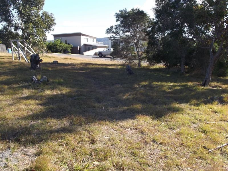 5 Treloggen Drive, Binalong Bay TAS 7216