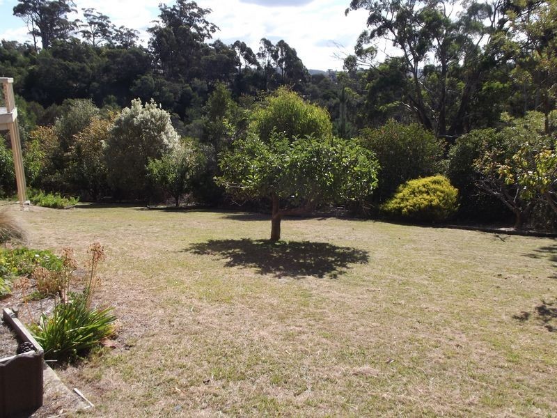 55 Erythos Grove, St Helens TAS 7216