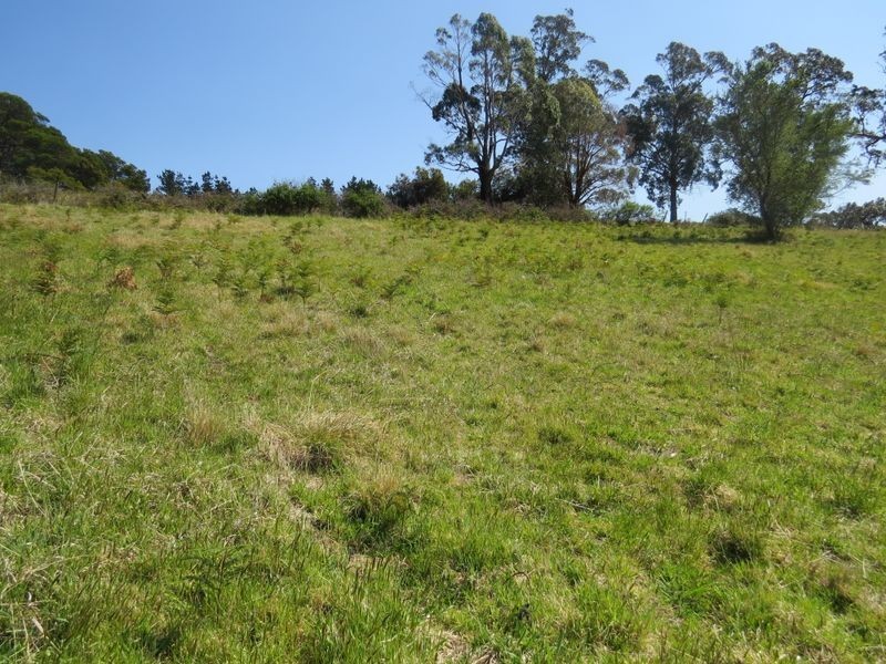 20 Kismet Place, St Helens TAS 7216