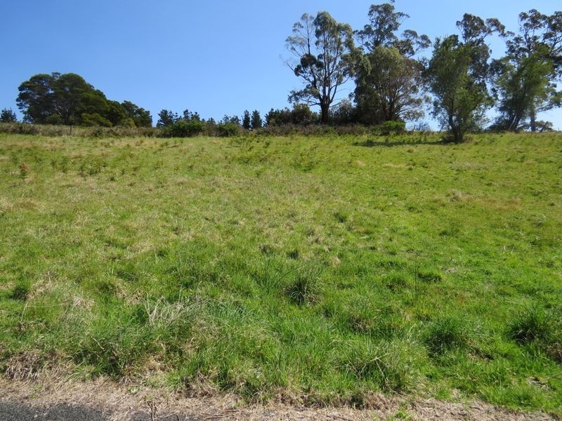 20 Kismet Place, St Helens TAS 7216