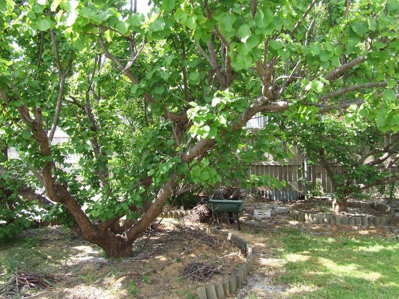 168 St Helens Point Road, Stieglitz TAS 7216
