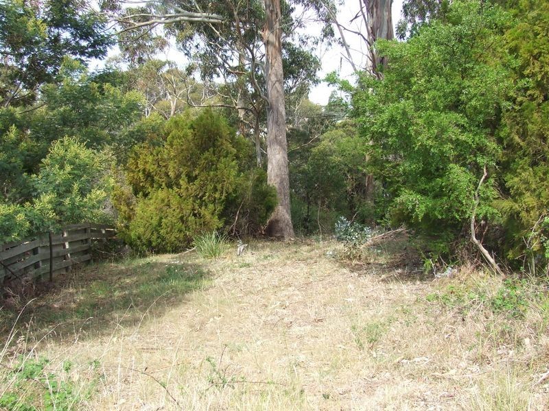 15 Lawry Heights, St Helens TAS 7216