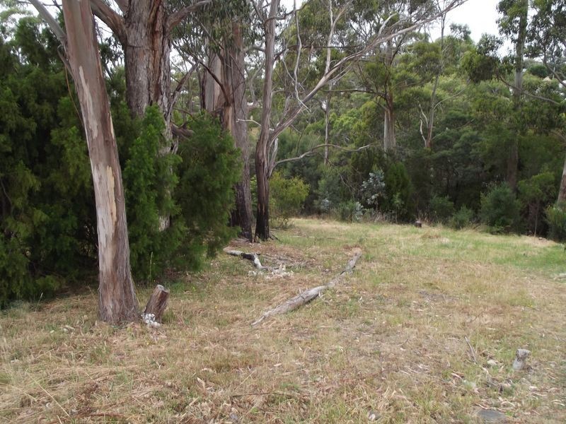 15 Lawry Heights, St Helens TAS 7216