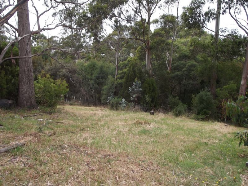 15 Lawry Heights, St Helens TAS 7216