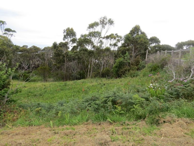 3 Reedy Road, Beaumaris TAS 7215