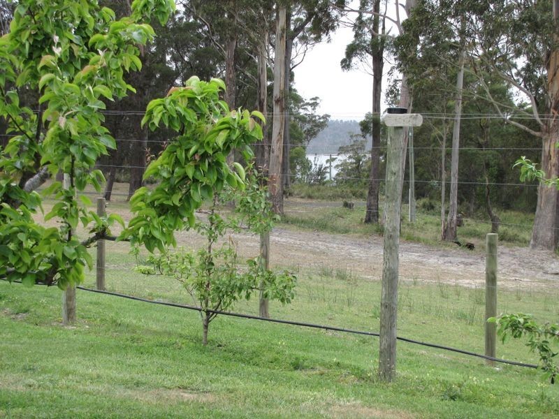 531 Binalong Bay Road, St Helens TAS 7216