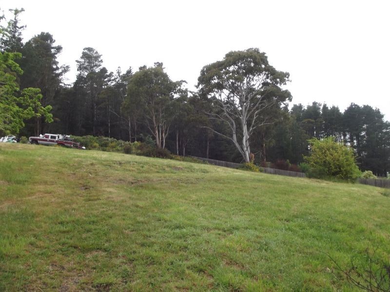 17 Newman Street, St Marys TAS 7215