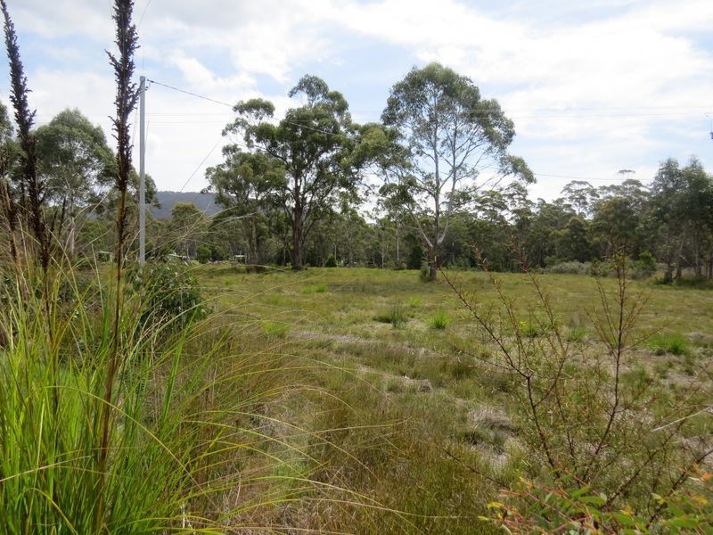 26414 Tasman Highway, Goshen TAS 7216