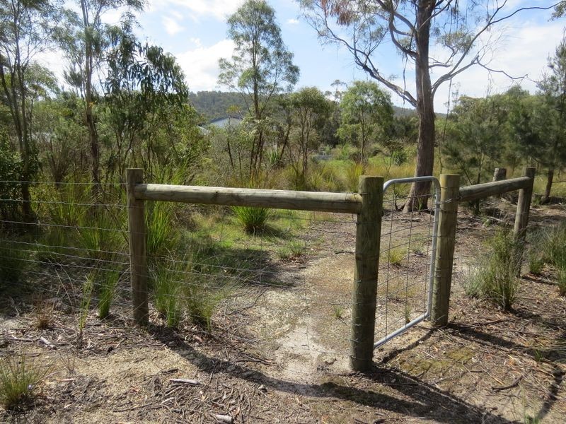 26414 Tasman Highway, Goshen TAS 7216