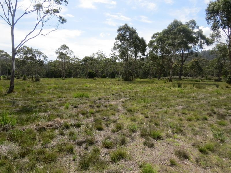 26414 Tasman Highway, Goshen TAS 7216