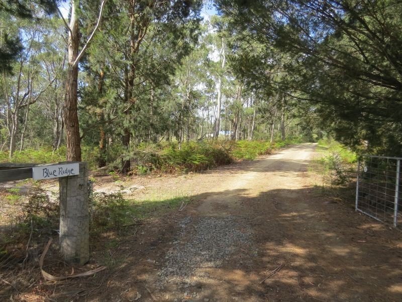 26414 Tasman Highway, Goshen TAS 7216