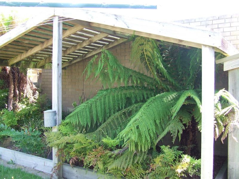 56 Tully Street, St Helens TAS 7216