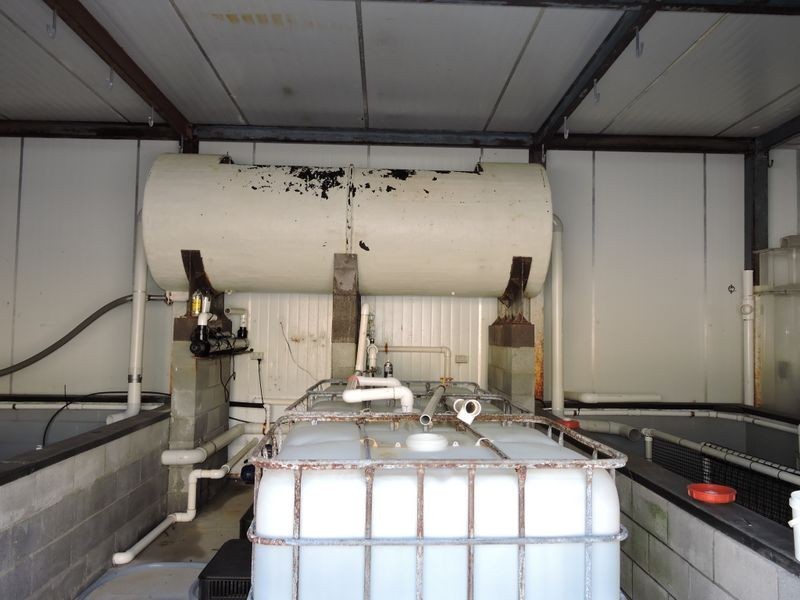 27193 Tasman Highway, Goshen TAS 7216