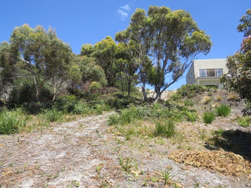 24299 Tasman Highway, St Helens TAS 7216