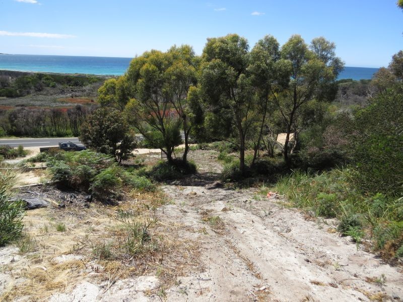 24299 Tasman Highway, St Helens TAS 7216