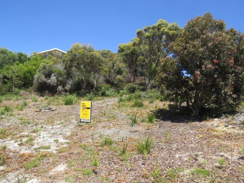 24299 Tasman Highway, St Helens TAS 7216