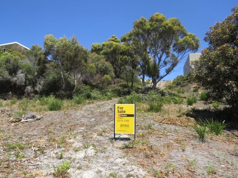 24299 Tasman Highway, St Helens TAS 7216