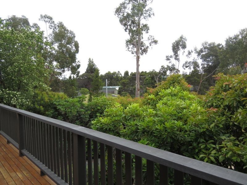 43 Falmouth Street, St Helens TAS 7216