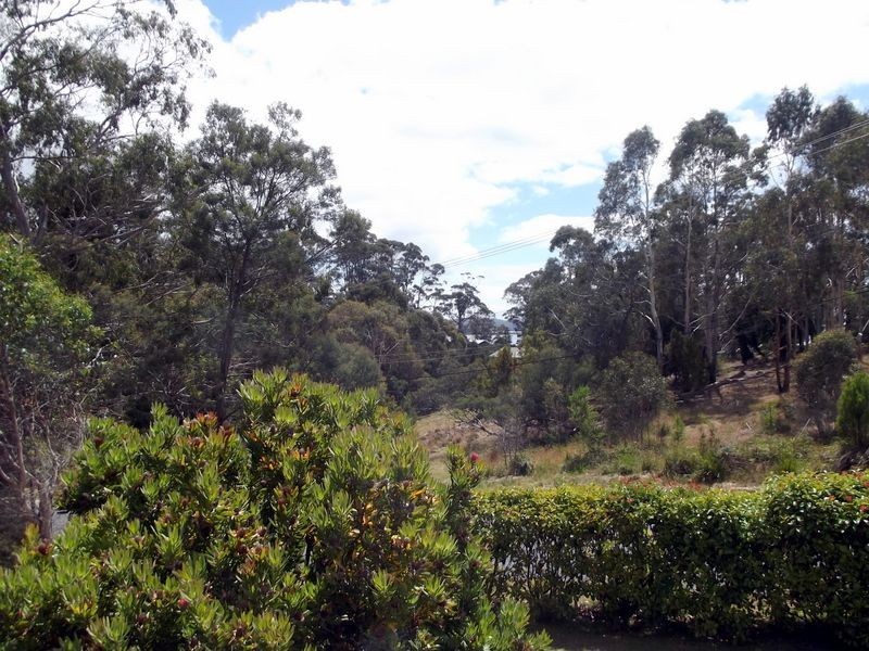 9 Falmouth Street, St Helens TAS 7216