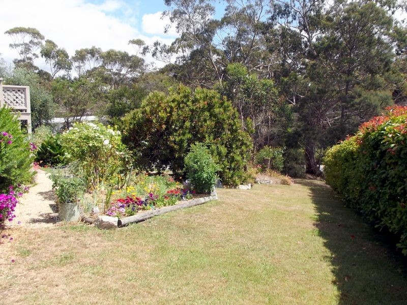 9 Falmouth Street, St Helens TAS 7216