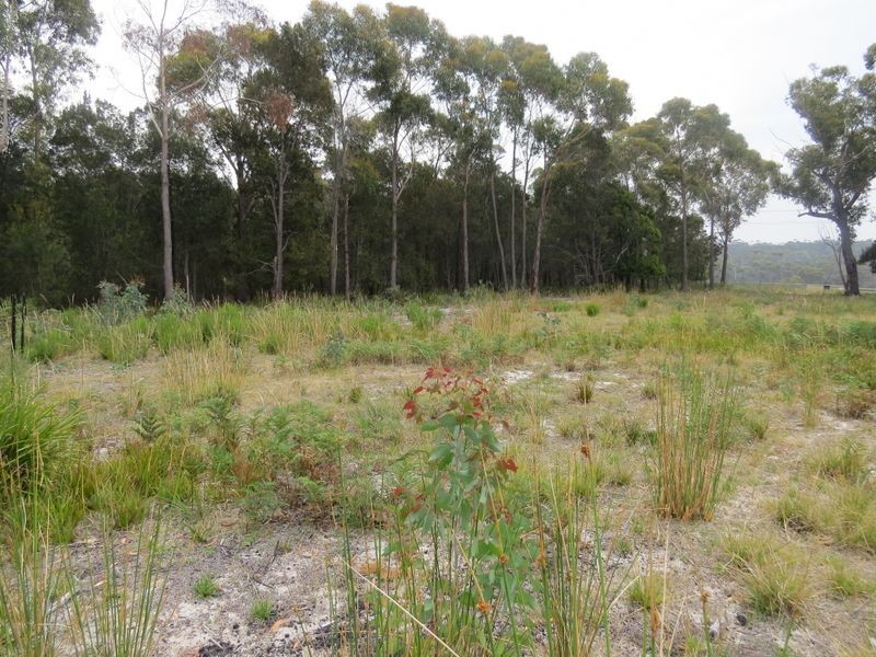 Lot 1 69 Eastern Creek Road, Beaumaris TAS 7215